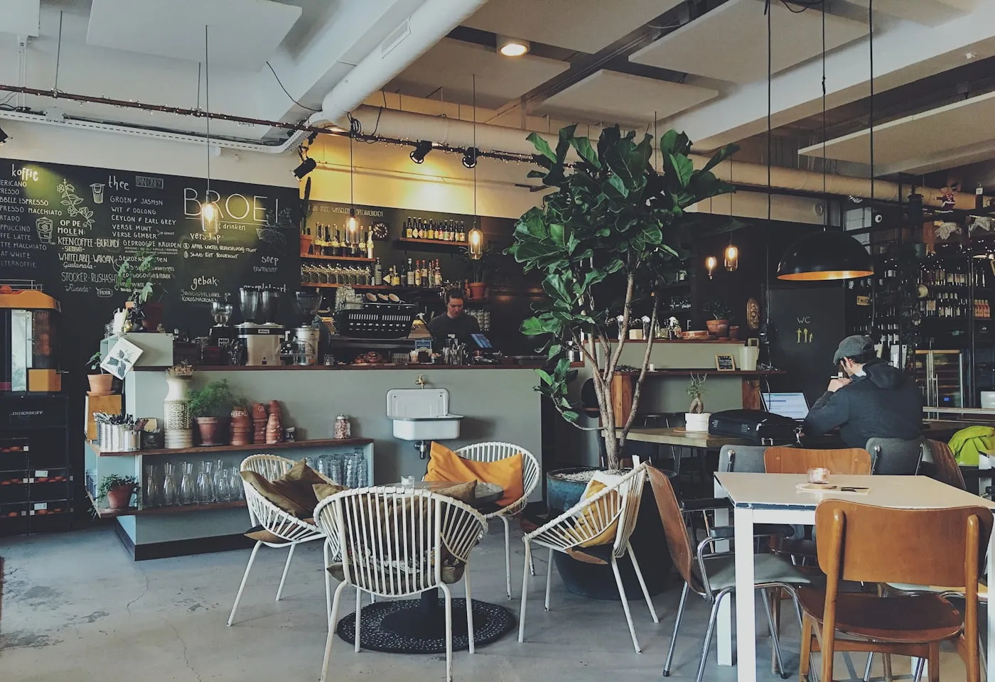 Sunlight streaming into the Purr and Pour lounge