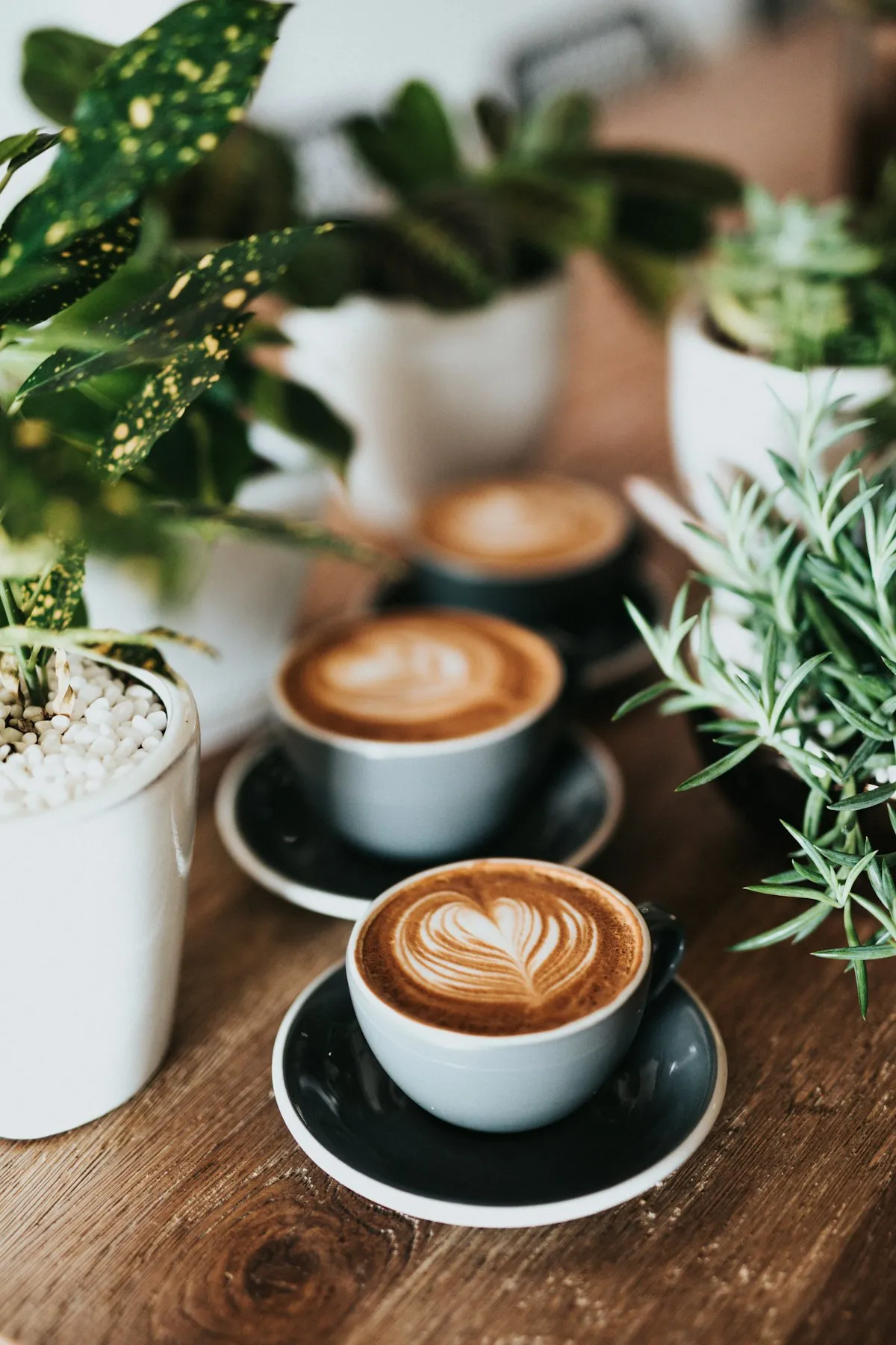 Latte art in a ceramic cup on the café counter